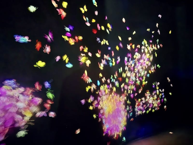 2025-05-15 九州親子自由行Day6-2 teamL