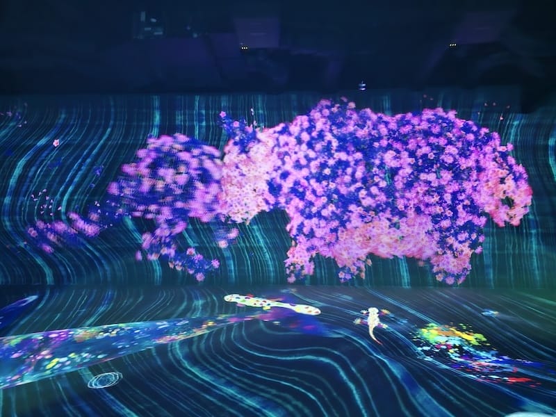 2025-05-15 九州親子自由行Day6-2 teamL