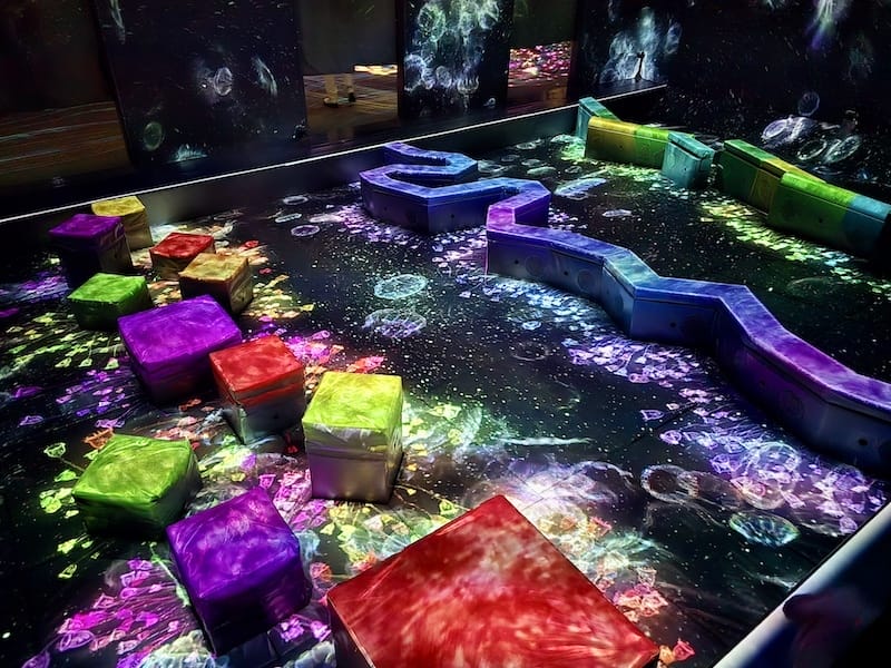 2025-05-15 九州親子自由行Day6-2 teamL