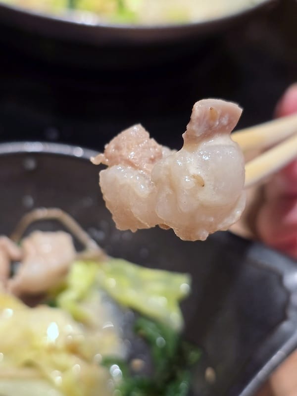 2025-05-15 九州親子自由行Day6-2 teamL