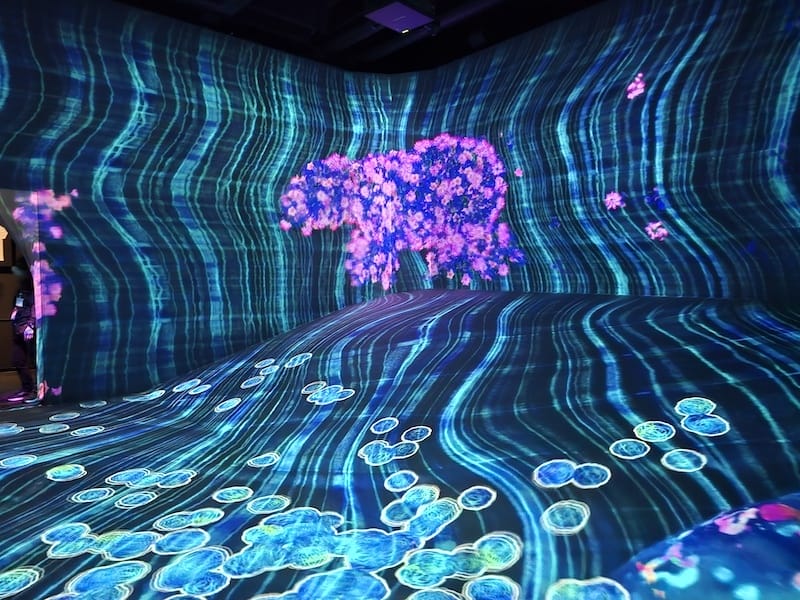 2025-05-15 九州親子自由行Day6-2 teamL