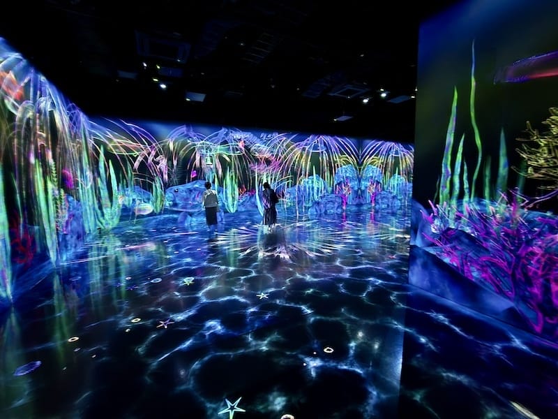 2025-05-15 九州親子自由行Day6-2 teamL