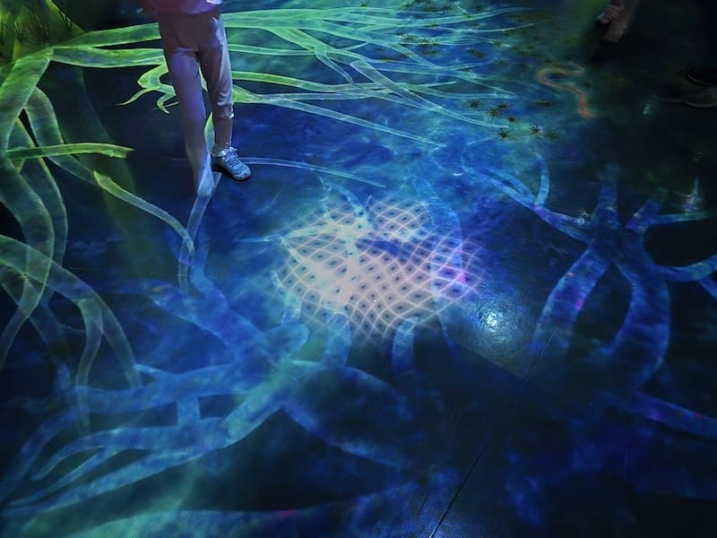 2025-05-15 九州親子自由行Day6-2 teamL