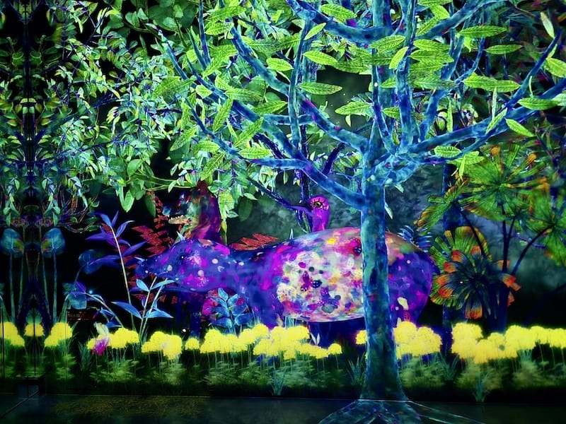 2025-05-15 九州親子自由行Day6-2 teamL