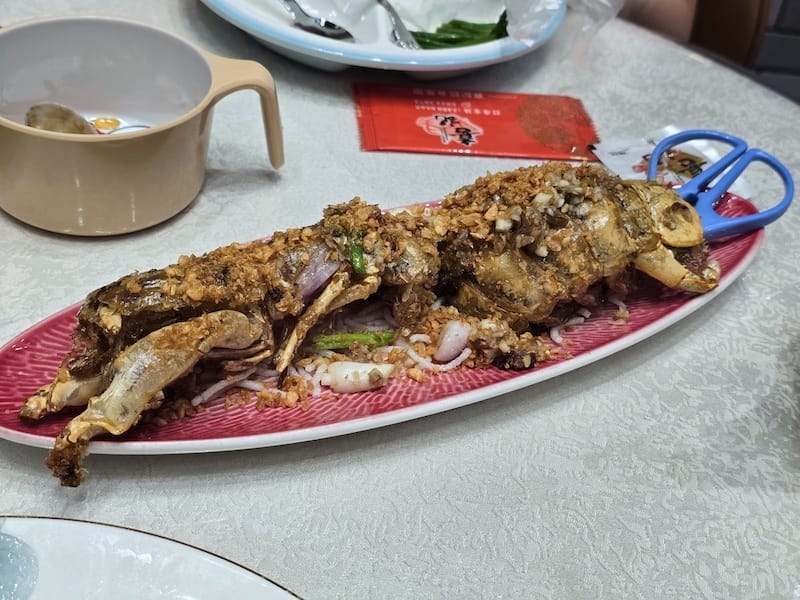 2025-08-21 港澳穿梭遊Day5 銅鑼灣的美食之旅