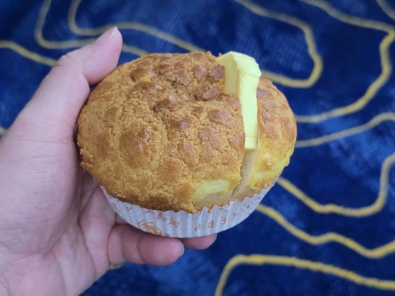 2025-08-21 長榮航空BR858 HKG-TPE 香