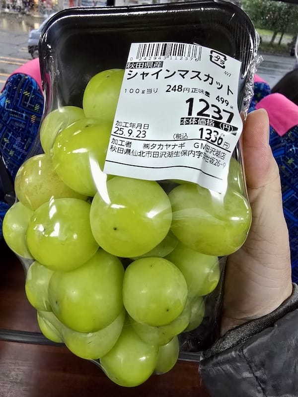 2025-09-25 星動秋田2.0 Day1 日本東北小京