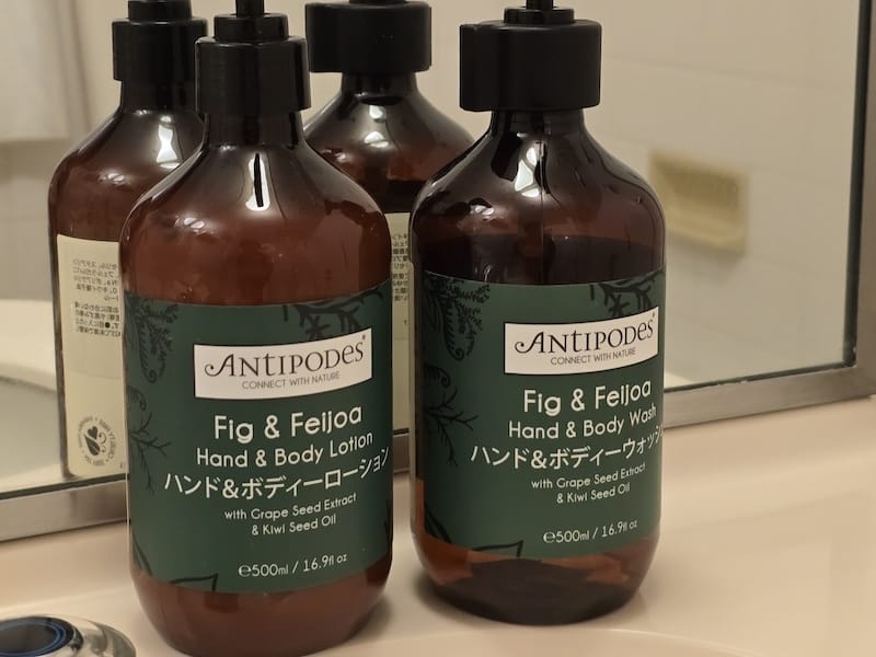 2025-09-25 岩手住宿安比高原全日空皇冠假日度假酒