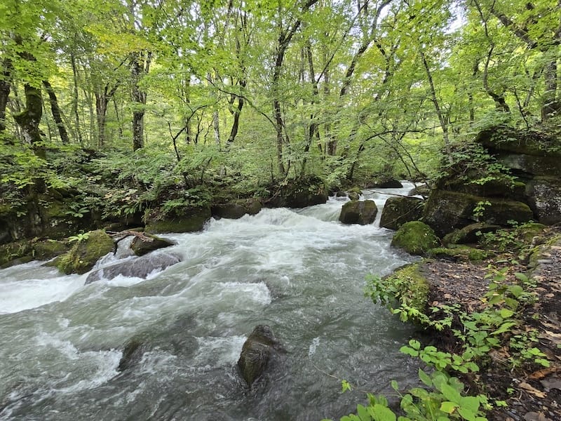 2025-09-26 星動秋田2.0 Day2  十和田湖