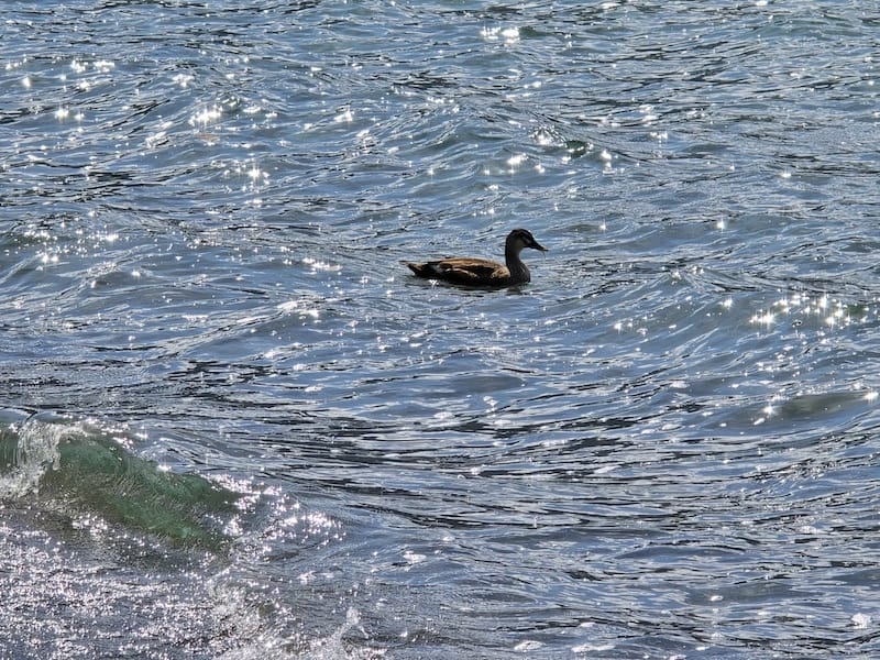 2025-09-26 星動秋田2.0 Day2  十和田湖