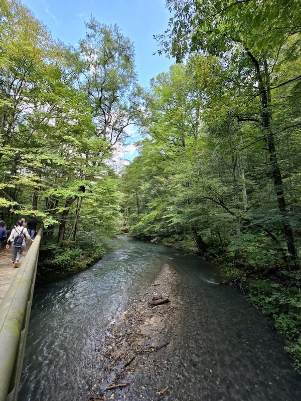 2025-09-26 星動秋田2.0 Day2  十和田湖