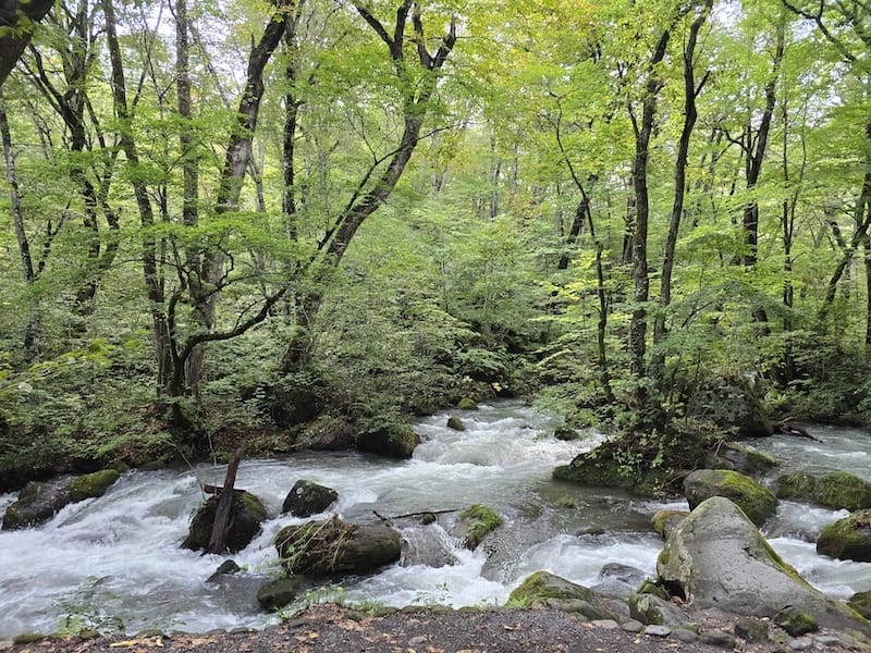 2025-09-26 星動秋田2.0 Day2  十和田湖