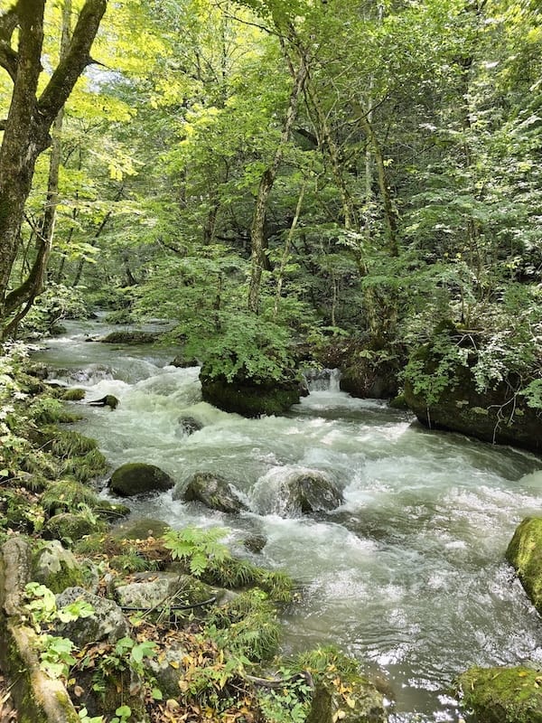 2025-09-26 星動秋田2.0 Day2  十和田湖