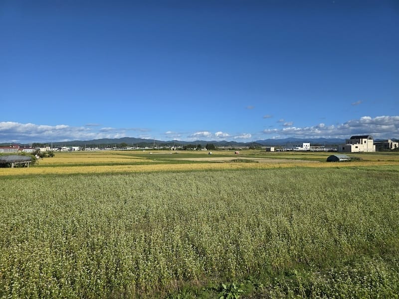 2025-09-27 星動秋田2.0 Day3《鶴之舞橋》富