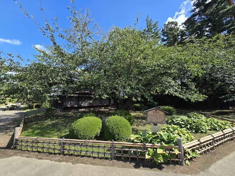 2025-09-27 星動秋田2.0 Day3《鶴之舞橋》富