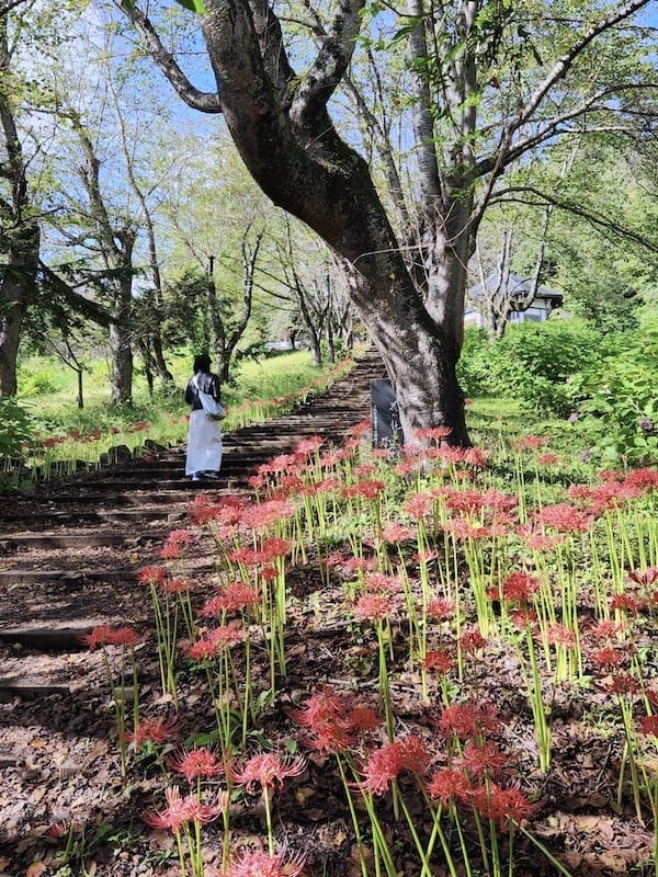 2025-09-27 星動秋田2.0 Day3《鶴之舞橋》富