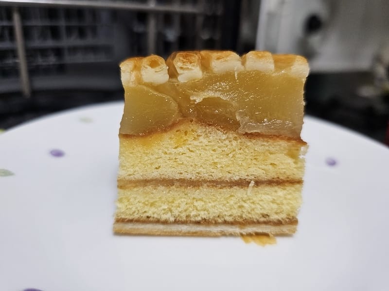 2025-09-27 星動秋田2.0 Day3《鶴之舞橋》富