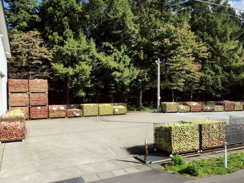 2025-09-27 星動秋田2.0 Day3《鶴之舞橋》富