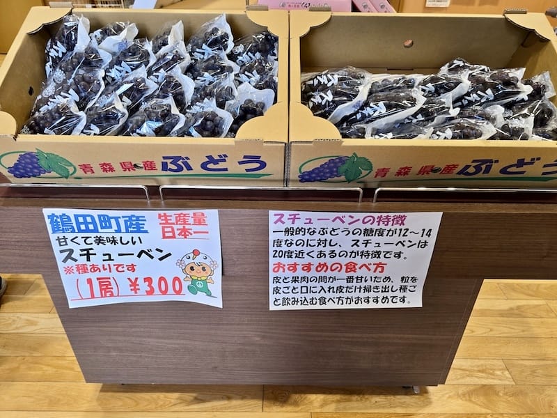 2025-09-27 星動秋田2.0 Day3《鶴之舞橋》富