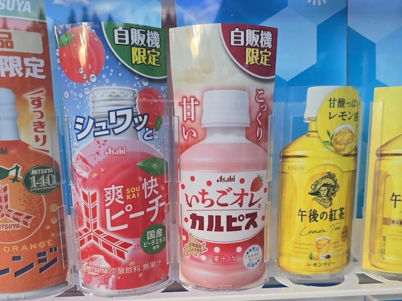 2025-09-27 星動秋田2.0 Day3《鶴之舞橋》富