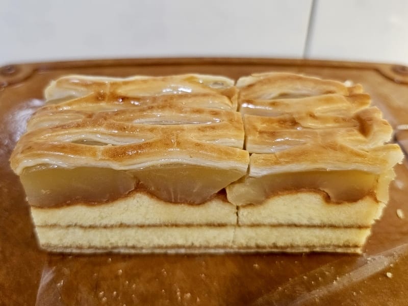 2025-09-27 星動秋田2.0 Day3《鶴之舞橋》富