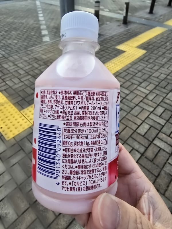 2025-09-27 星動秋田2.0 Day3《鶴之舞橋》富