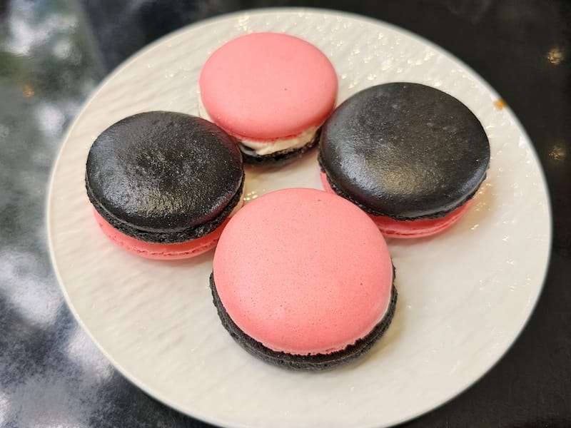 2025-07-28 綠舞日式主題園區萌寵互動+和服體驗+