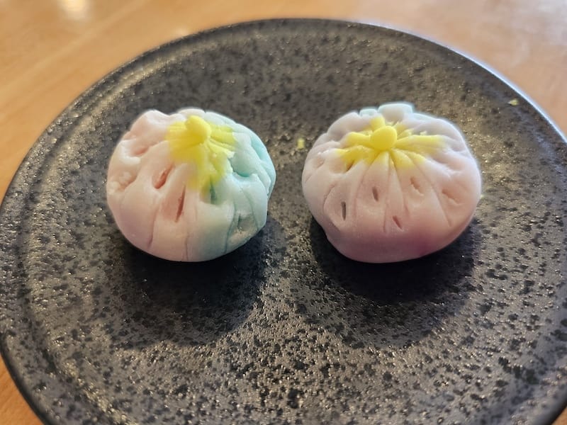 2025-07-28 綠舞日式主題園區萌寵互動+和服體驗+