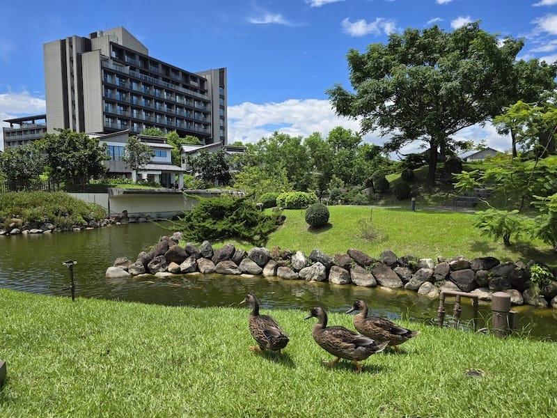 2025-07-28 綠舞日式主題園區萌寵互動+和服體驗+