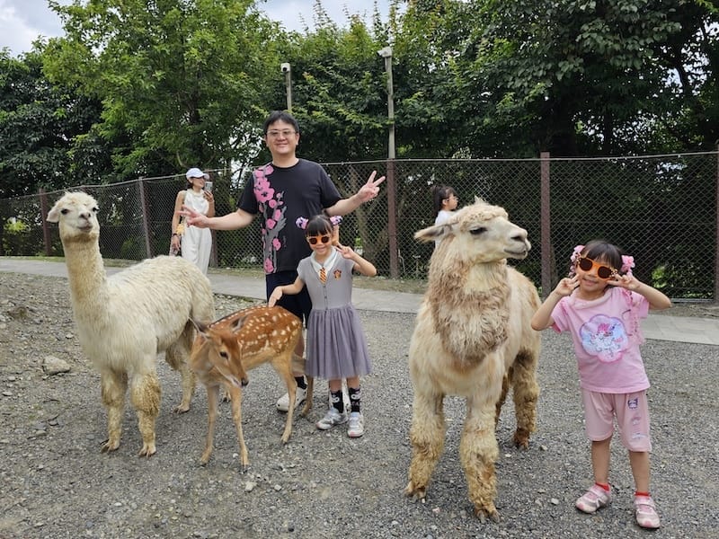 2025-07-28 綠舞日式主題園區萌寵互動+和服體驗+