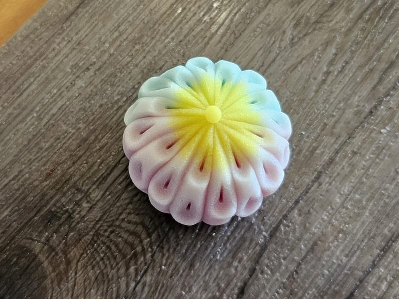 2025-07-28 綠舞日式主題園區萌寵互動+和服體驗+