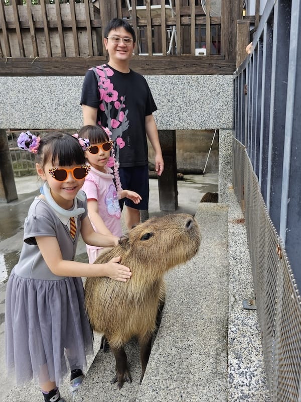 2025-07-28 綠舞日式主題園區萌寵互動+和服體驗+