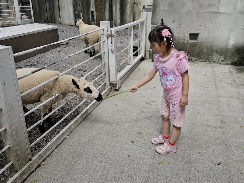 2025-07-28 綠舞日式主題園區萌寵互動+和服體驗+