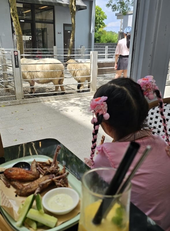 2025-07-28 綠舞日式主題園區萌寵互動+和服體驗+