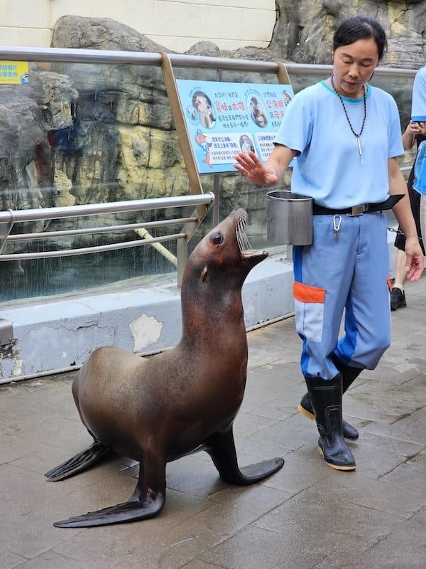 2025-06-01 遠雄海洋夜未眠二訪大洋池幸福區