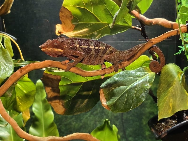 2025-06-01 遠雄海洋夜未眠二訪大洋池幸福區