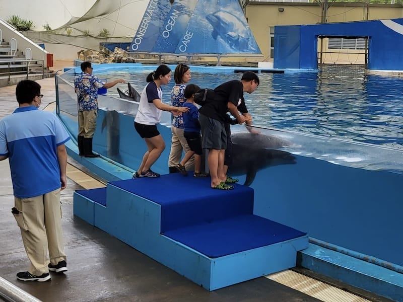 2025-06-01 遠雄海洋夜未眠二訪大洋池幸福區