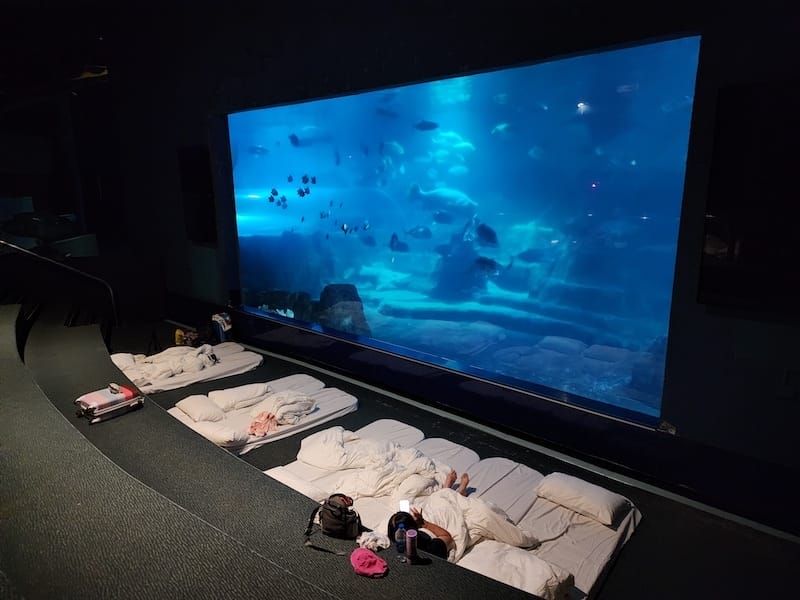 2025-06-01 遠雄海洋夜未眠二訪大洋池幸福區