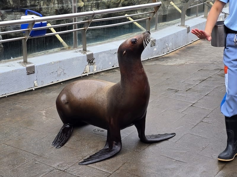 2025-06-01 遠雄海洋夜未眠二訪大洋池幸福區