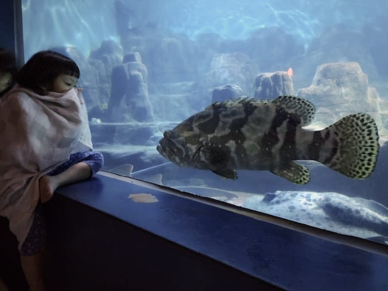 2025-06-01 遠雄海洋夜未眠二訪大洋池幸福區