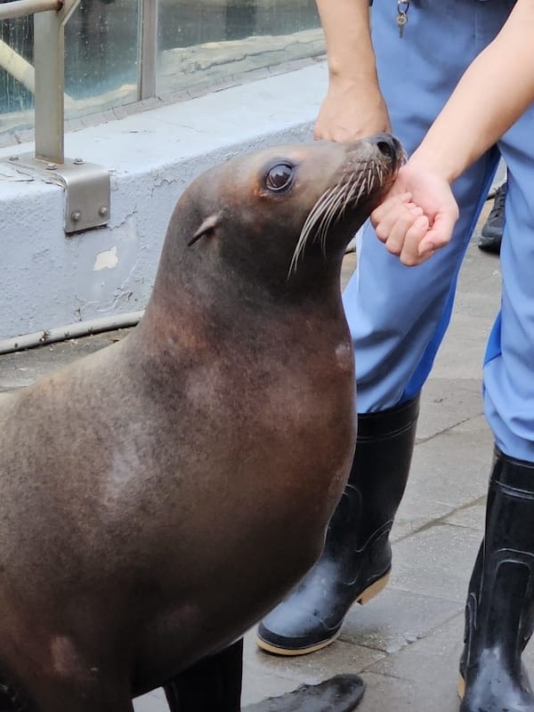 2025-06-01 遠雄海洋夜未眠二訪大洋池幸福區