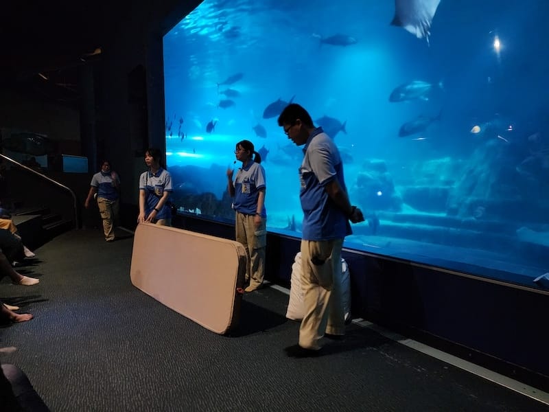 2025-06-01 遠雄海洋夜未眠二訪大洋池幸福區
