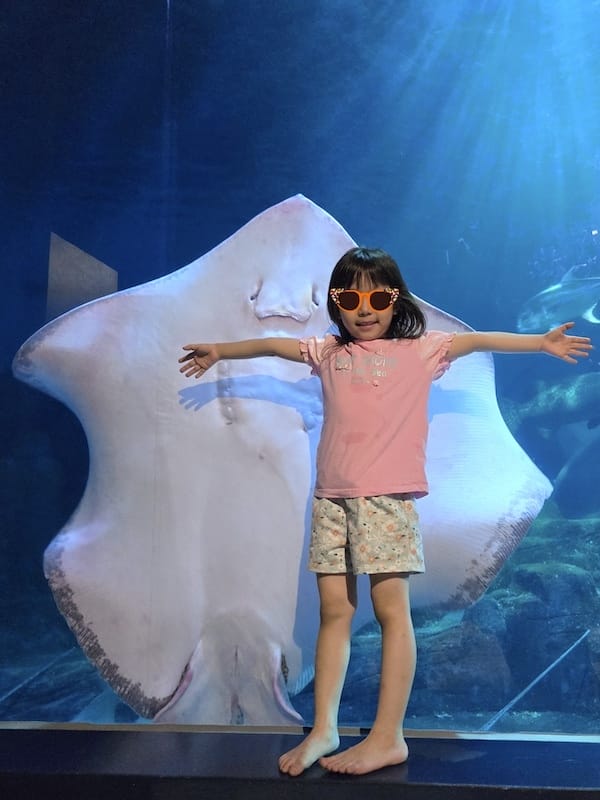 2025-06-01 遠雄海洋夜未眠二訪大洋池幸福區