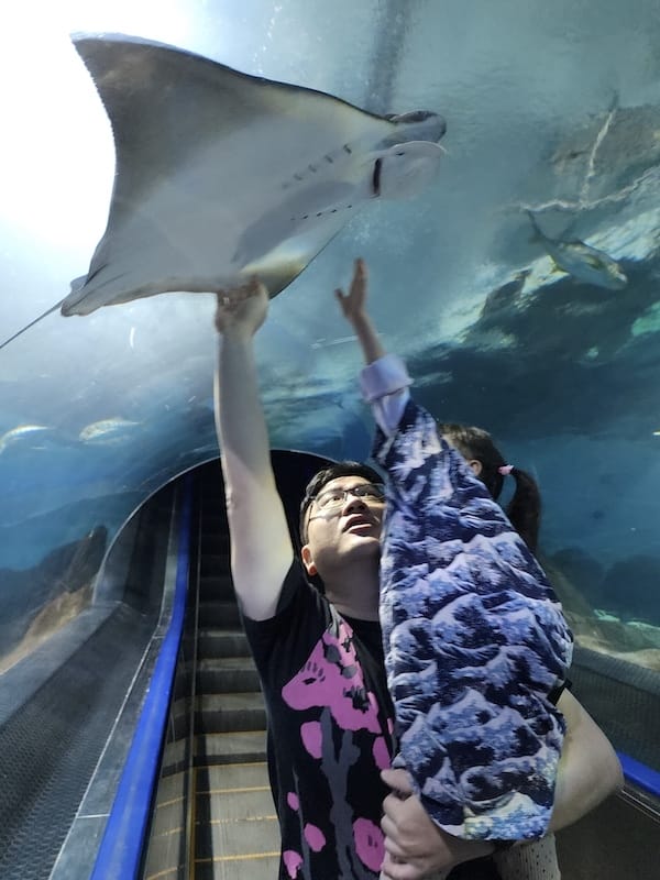 2025-06-01 遠雄海洋夜未眠二訪大洋池幸福區