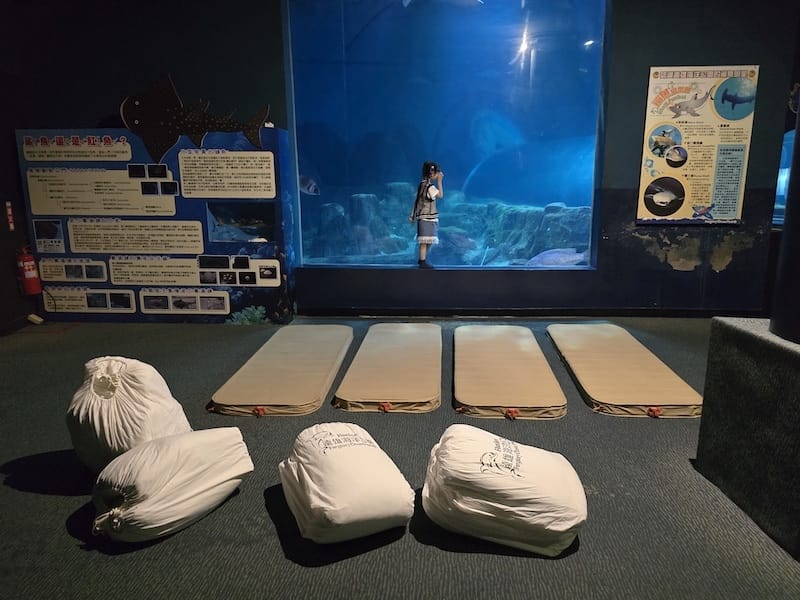 2025-06-01 遠雄海洋夜未眠二訪大洋池幸福區