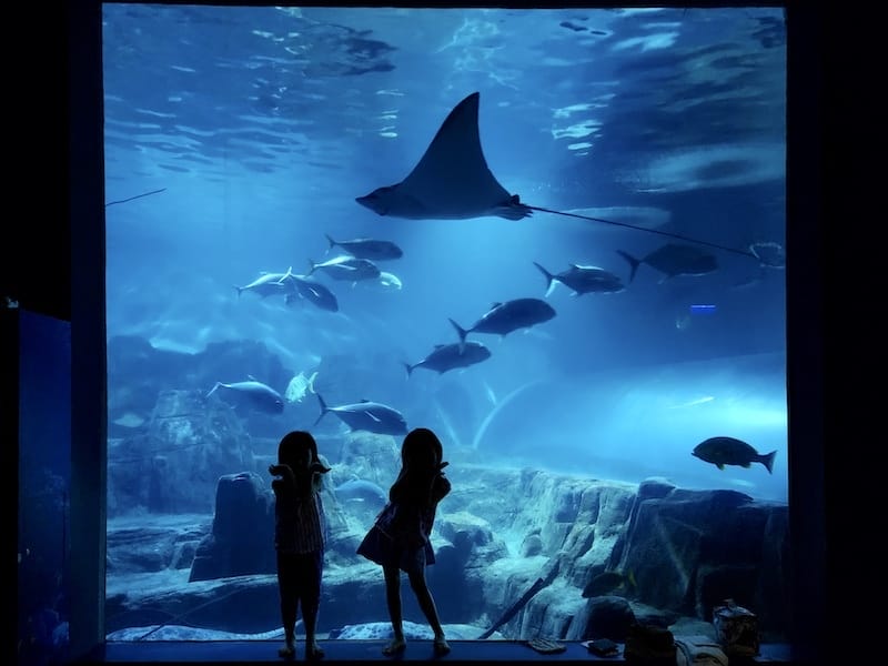 2025-06-01 遠雄海洋夜未眠二訪大洋池幸福區