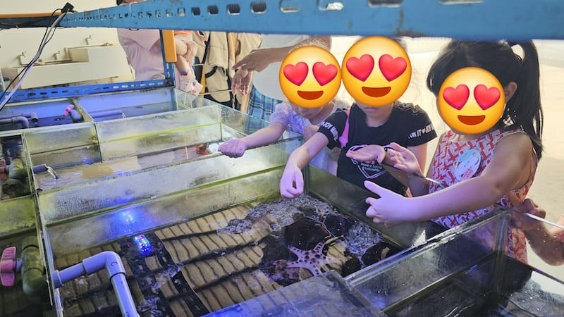 2025-06-01 遠雄海洋夜未眠二訪大洋池幸福區