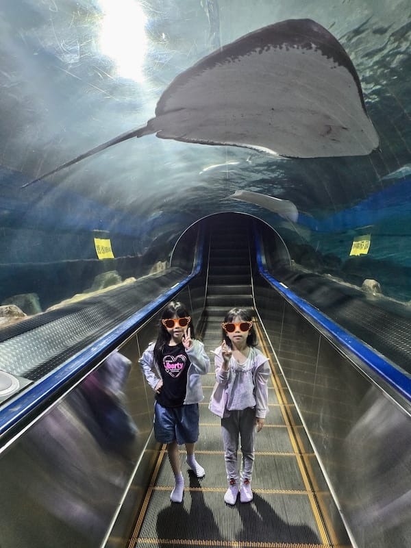 2025-06-01 遠雄海洋夜未眠二訪大洋池幸福區