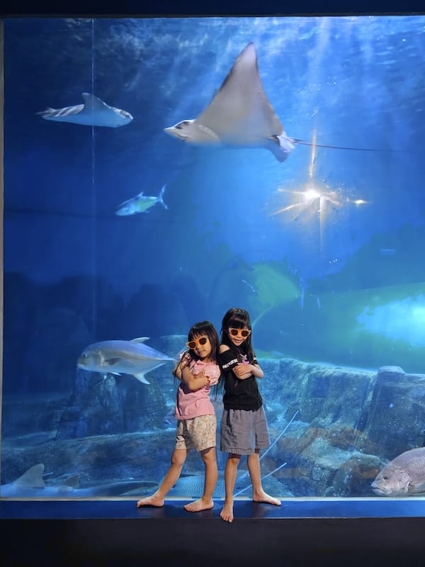 2025-06-01 遠雄海洋夜未眠二訪大洋池幸福區