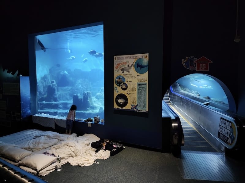 2025-06-01 遠雄海洋夜未眠二訪大洋池幸福區